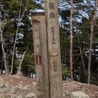 大菩薩嶺山頂
展望無し