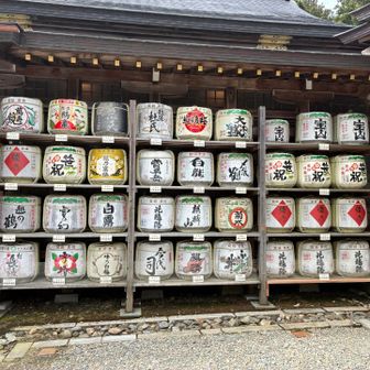 全部で64樽が飾られていました。