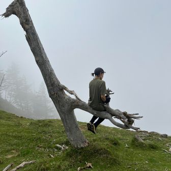 帰りはガスガス　でも
この展望地はお気に入りです。
ここに来づして、山伏から先を語れず🤐