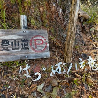 白い文字なんて読むの⁉️