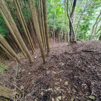 ここからいきなり距離がある激下りです↘️

少し大袈裟ですけど 上から見たらほぼ垂直に見えて“”何処を歩くんかな？“”と思いました⬇️

適当に降りて行くと九十九折の踏み跡を見つけそこを辿って下りました↘️