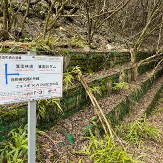 ので右に曲がります