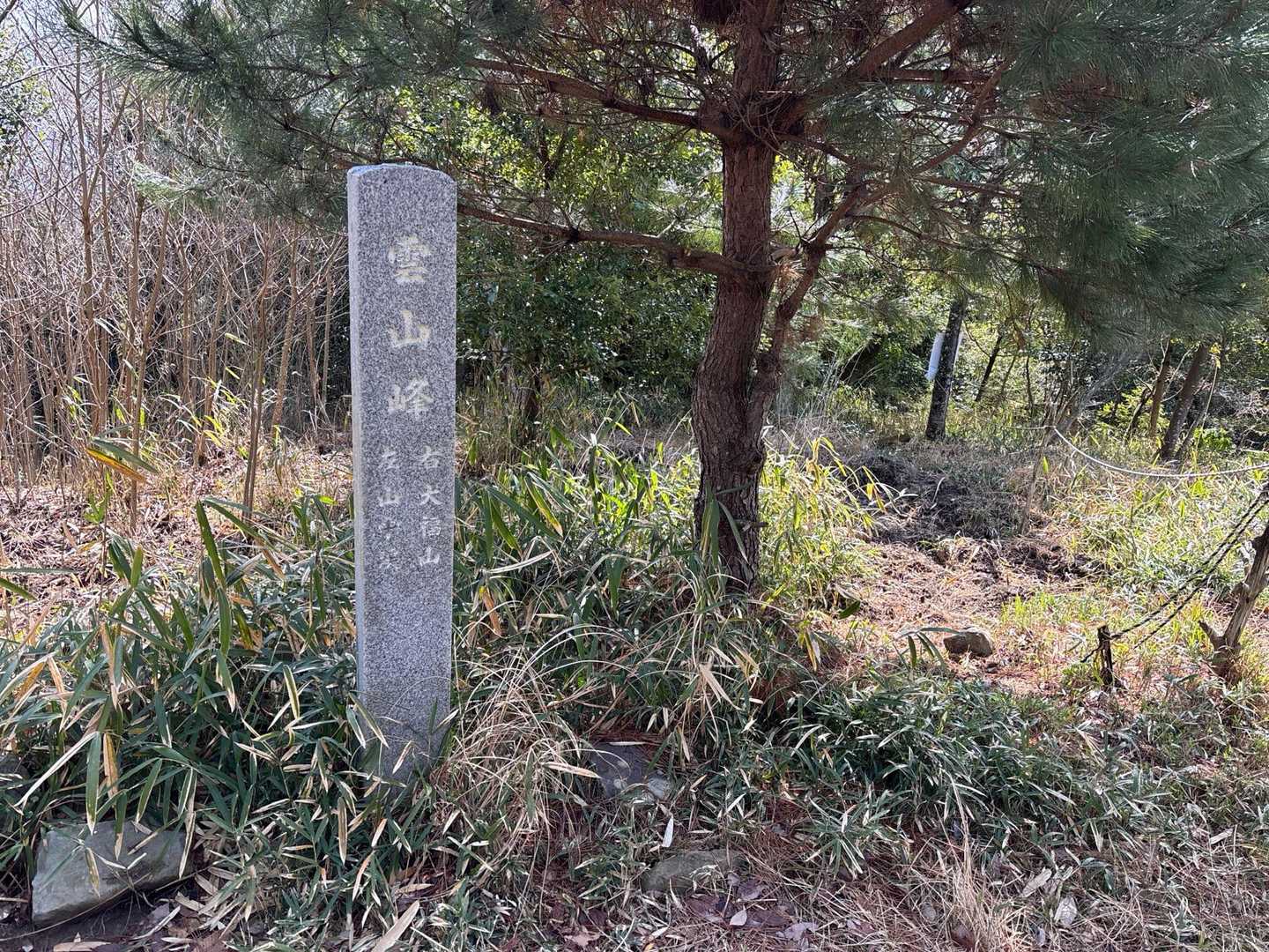 雲山峰⛰️登頂👍