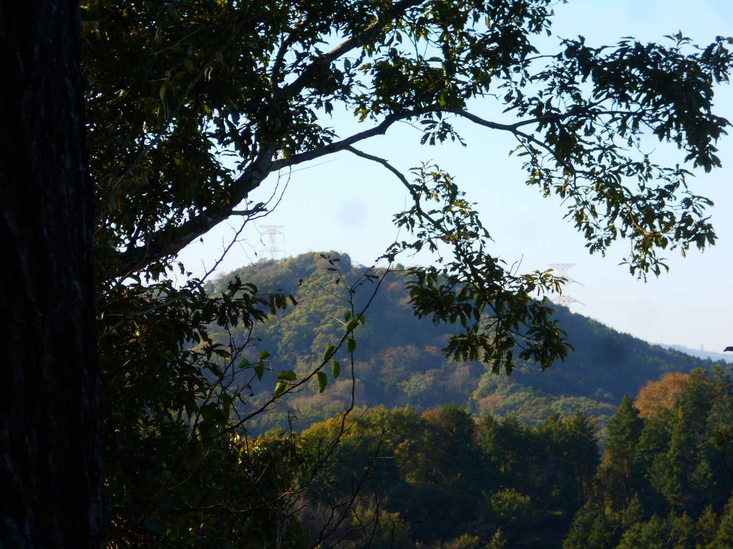 では交野山へ　＼( 'ω')／