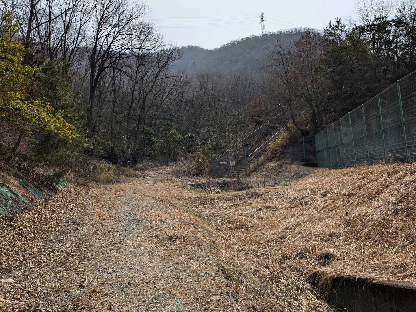 少し迷ったが、