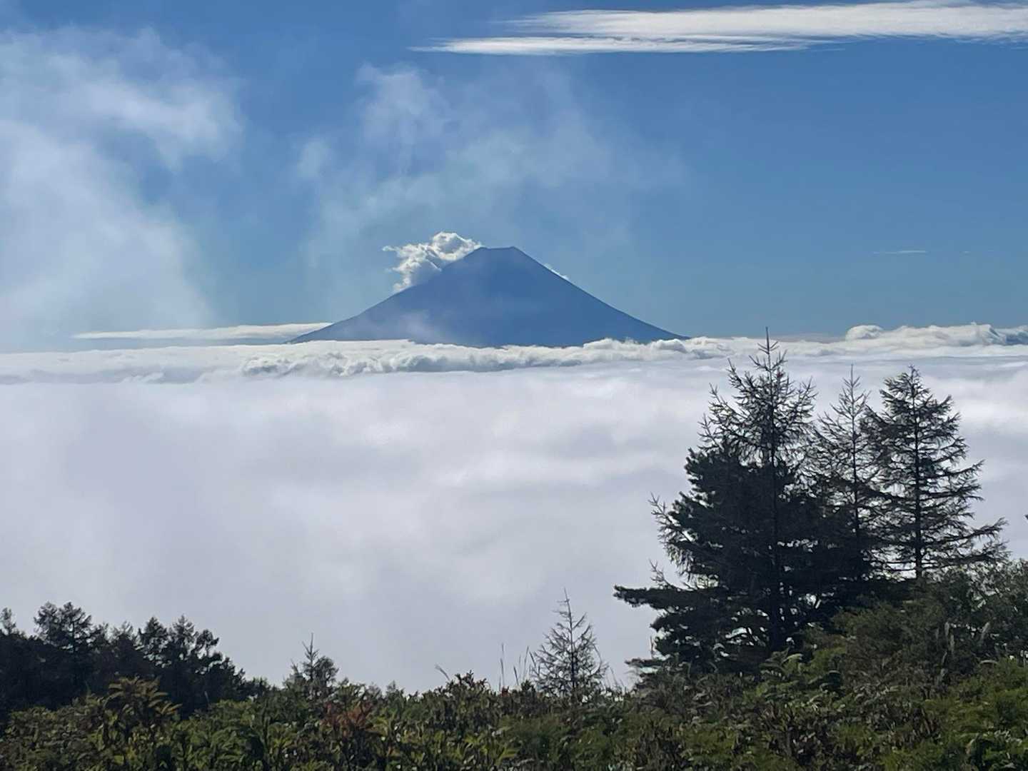 甘利山登山口-甘利山 周回コースの写真