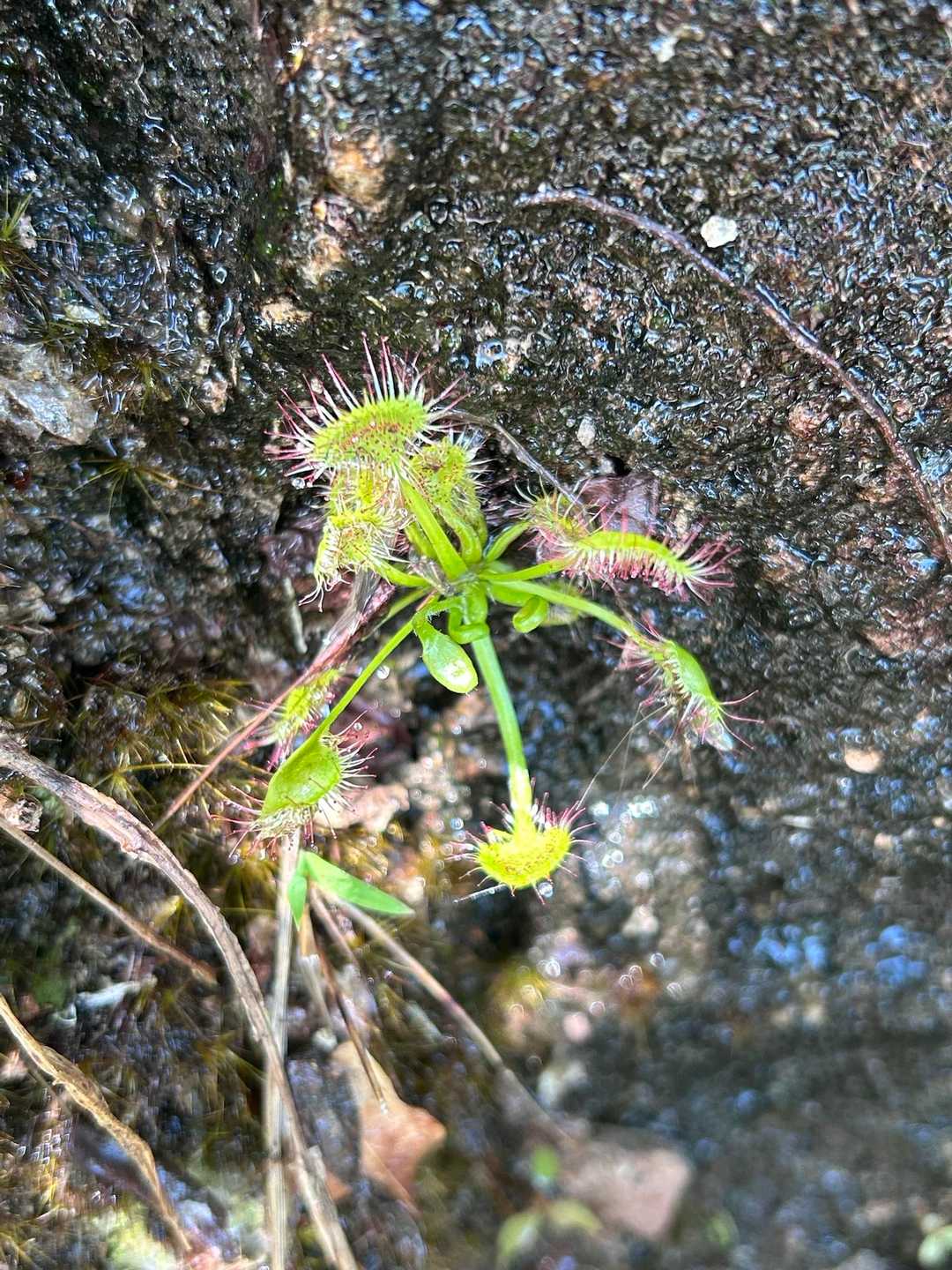 いたいた😊