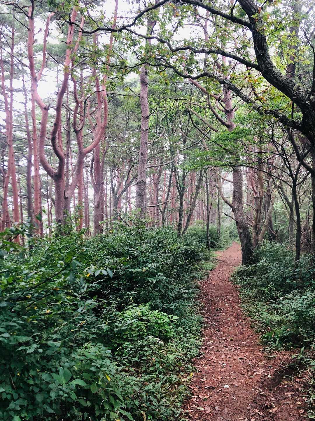愛されている高烏谷山