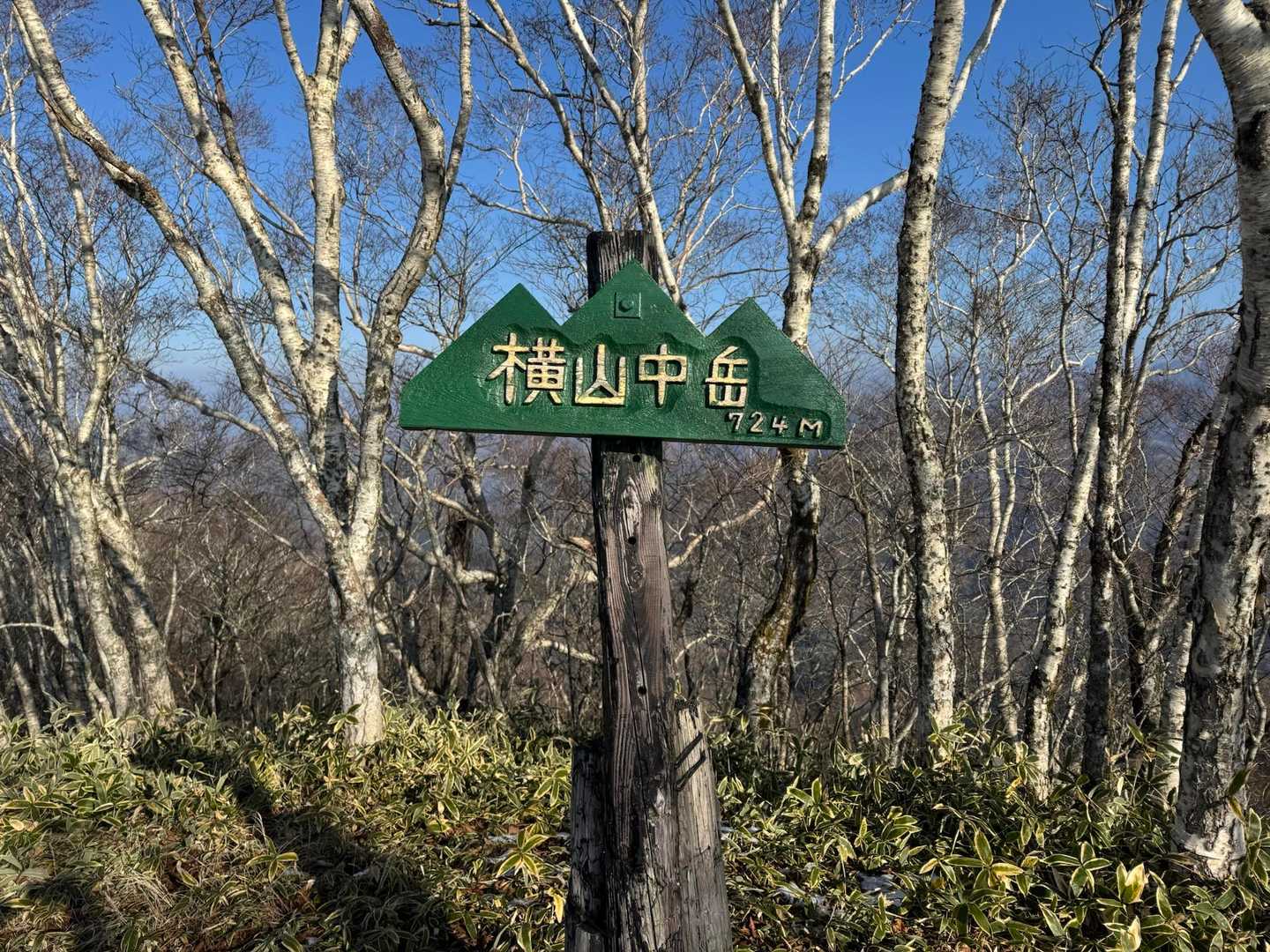 着きました〜
本当に最初から最後まで登りっぱなし😫