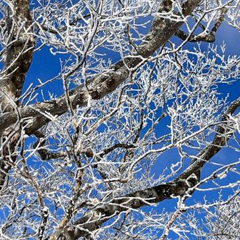 うっとり〜

本当は寝坊して、今日は映画に切り替えようとしてました