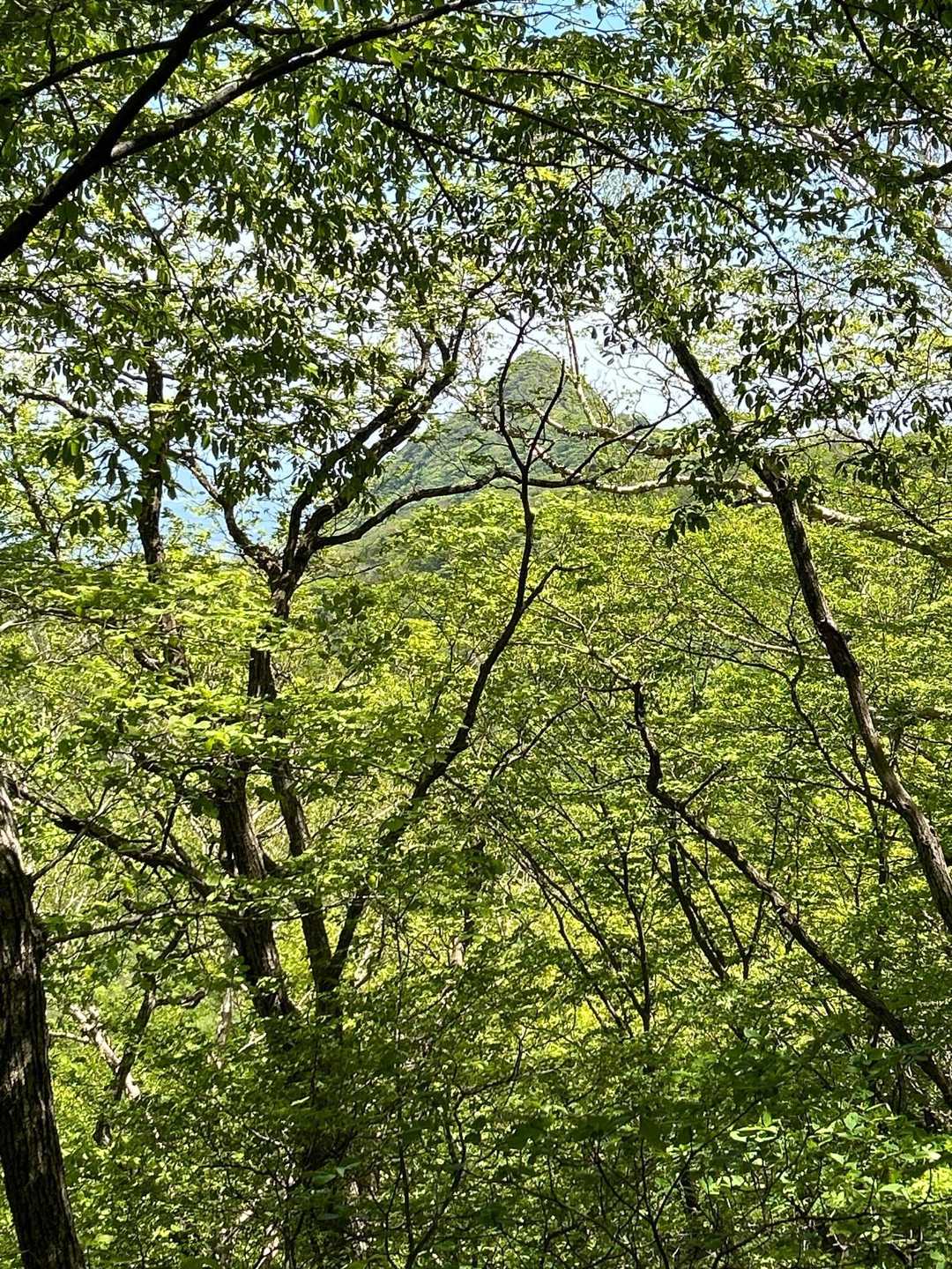 相馬山