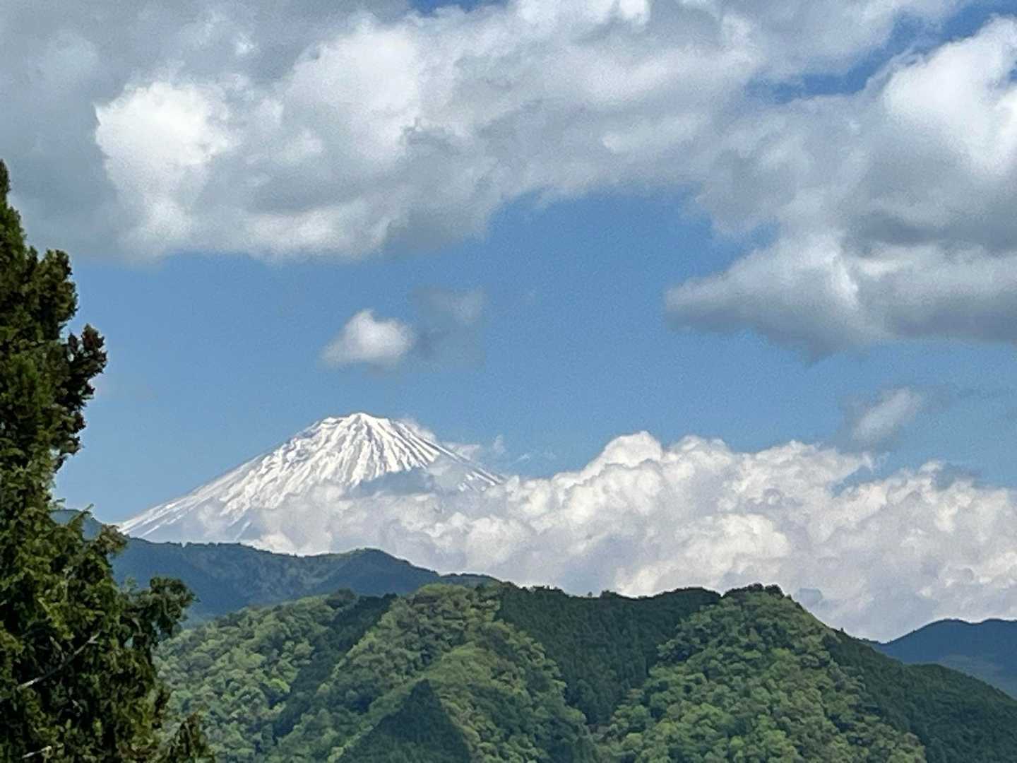 杉尾山ハイキングコース入口-杉尾山-杉尾山登山口 周回コースの写真