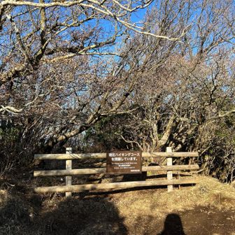 神山山頂着
ここから先は通行止
いつか解除されたら行ってみたい！