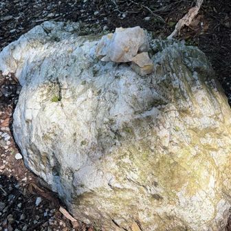 雲母の峰にある、でっかい雲母。
