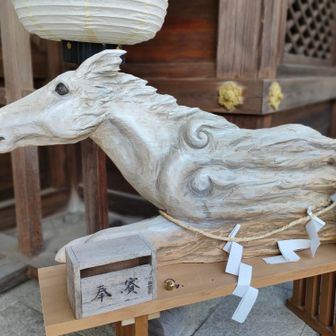 今年は記念すべき　丙午🐴