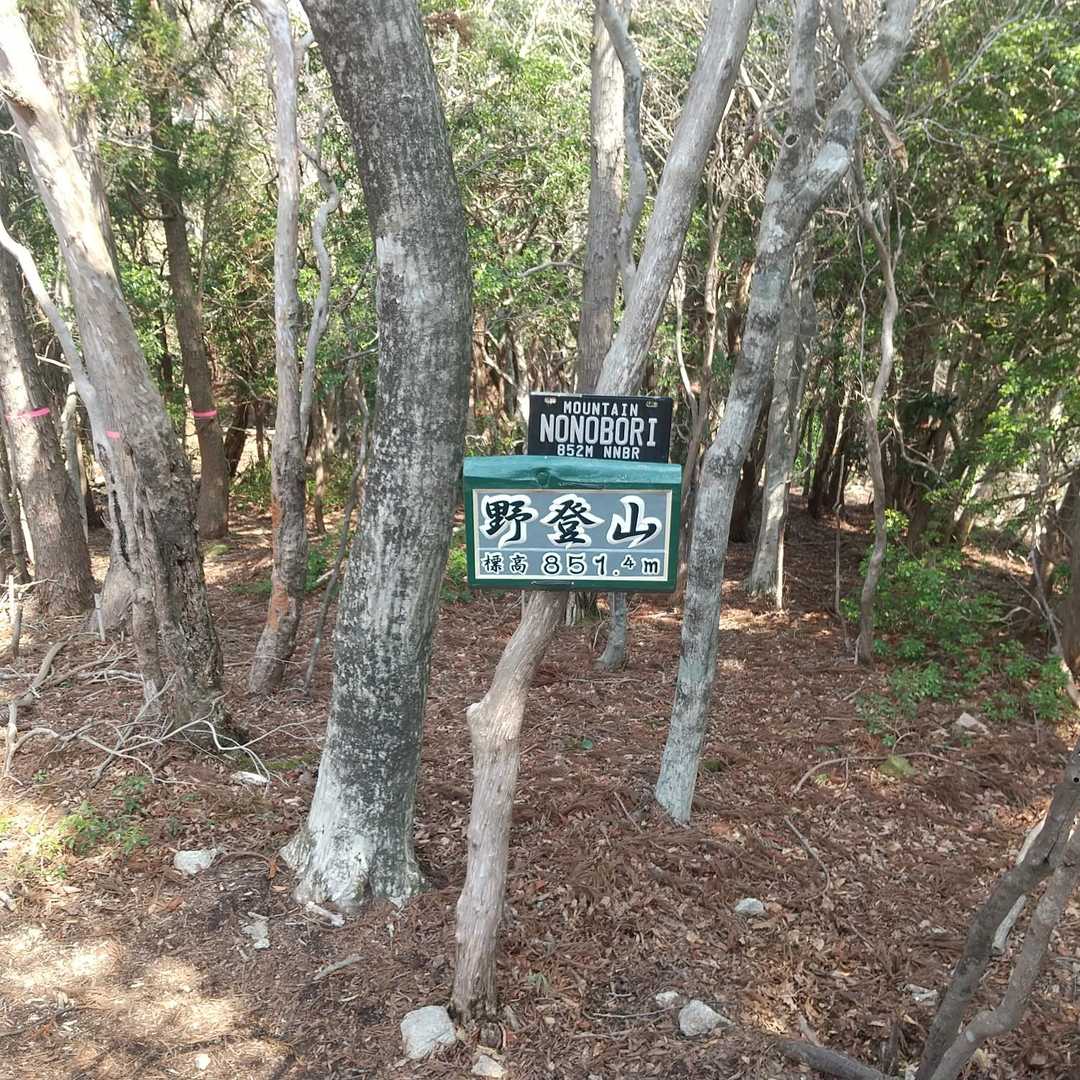 野登山山頂
眺望なし