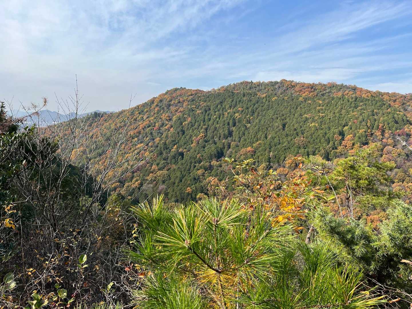 大平山の稜線