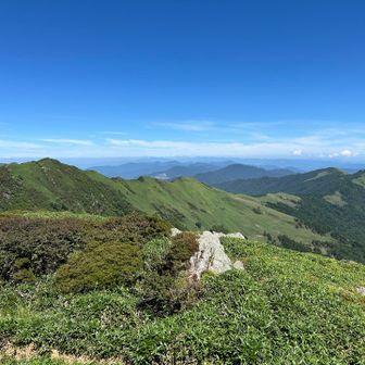 見納めに🙏
ありがとうございました。