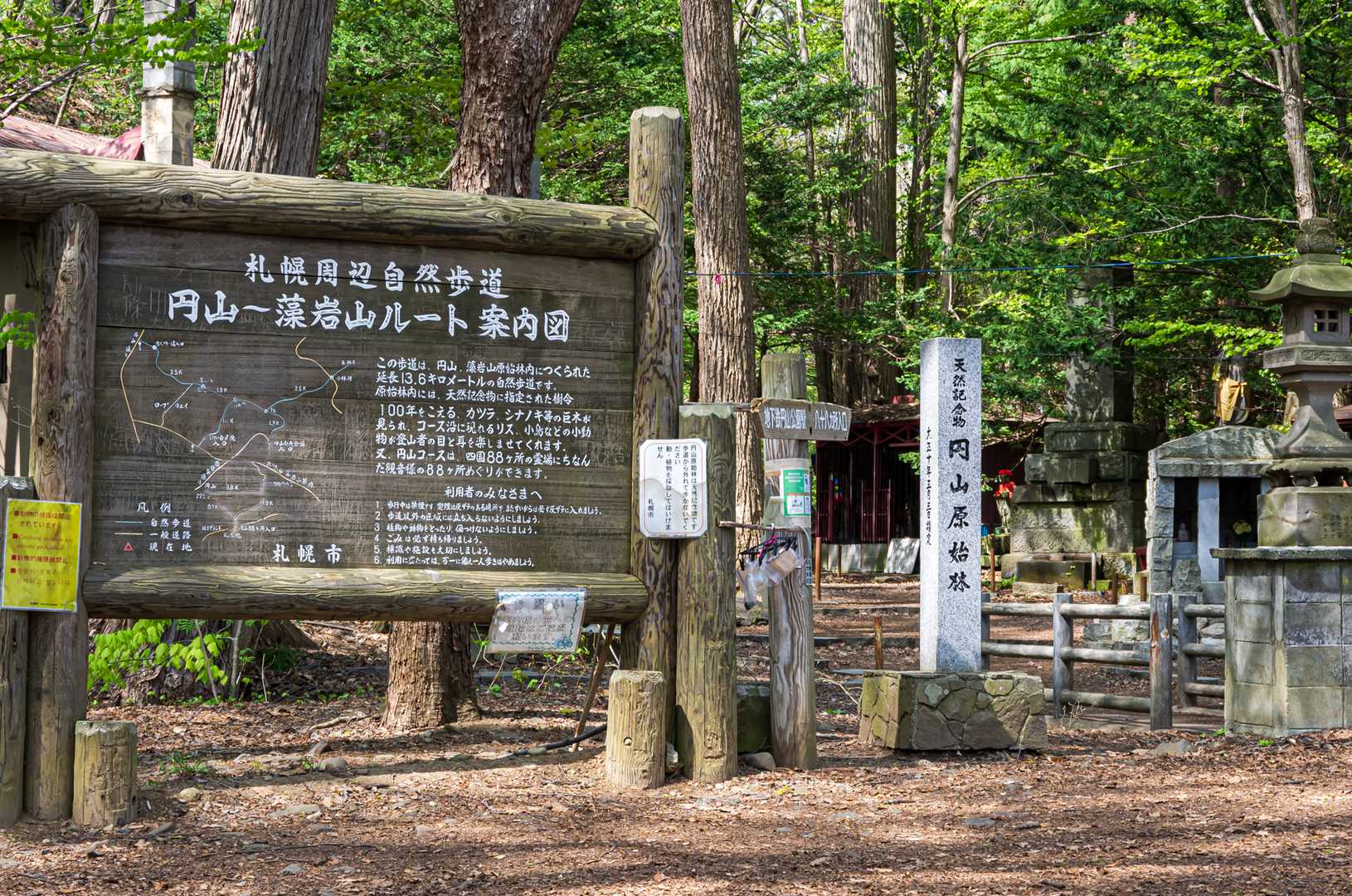 お久しぶりの円山はどんな様子かな〜？🤗