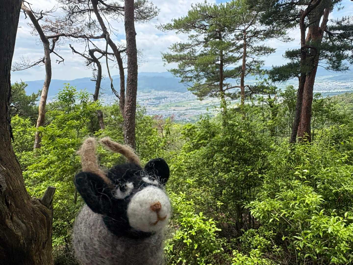 牛松山 往復コースの写真