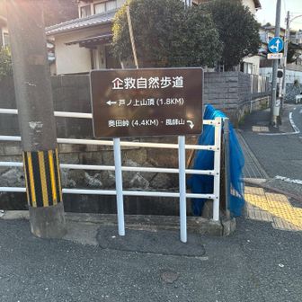 本ルートに合流