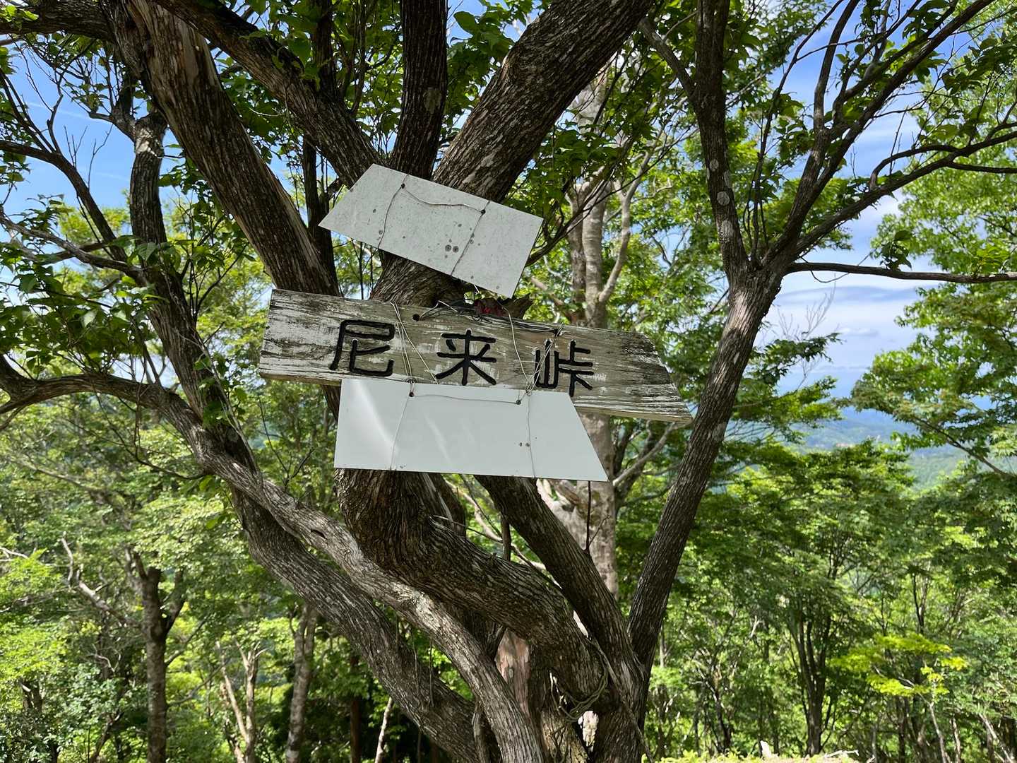 分岐まで来ました