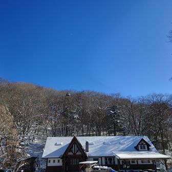 お疲れ様でした。
(*^^*)

人も少なく 途中すれ違う方が何名かおられたけれど、ほとんど一人の山行でした。

最高の天気の中  パウダースノーに富士山と大自然満喫の素晴らしい山歩きになりました♪

コースも短く 特に疲れることなくサクサクと歩けるので あっという間にゴールです✨

今年も一年 よろしくお願いします。
( ´ ▽ ` )ﾉ