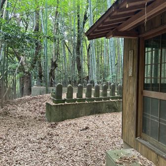 表示無し