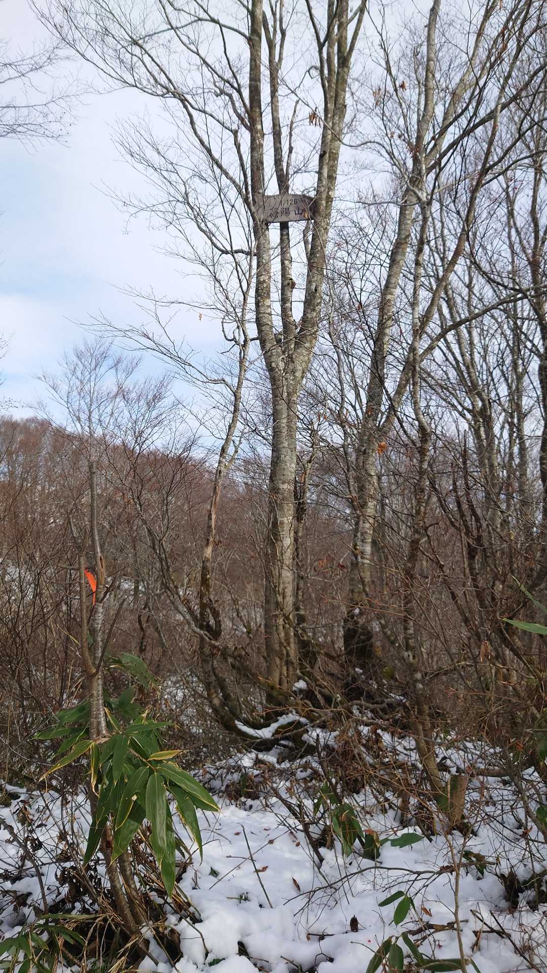 あんなところに山頂の標識