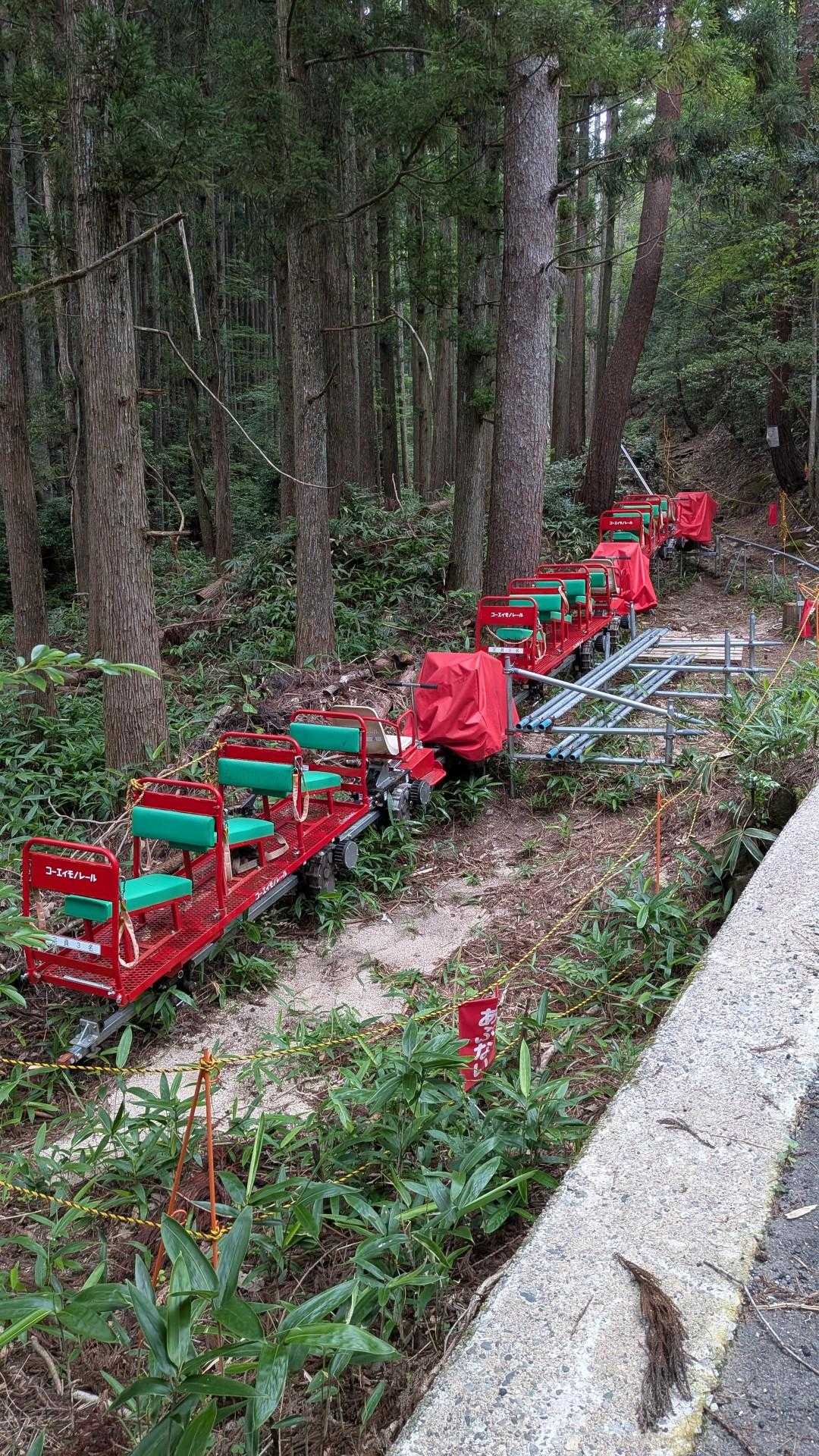乗ったら楽に山頂まで行けそうなモノレールを横目に