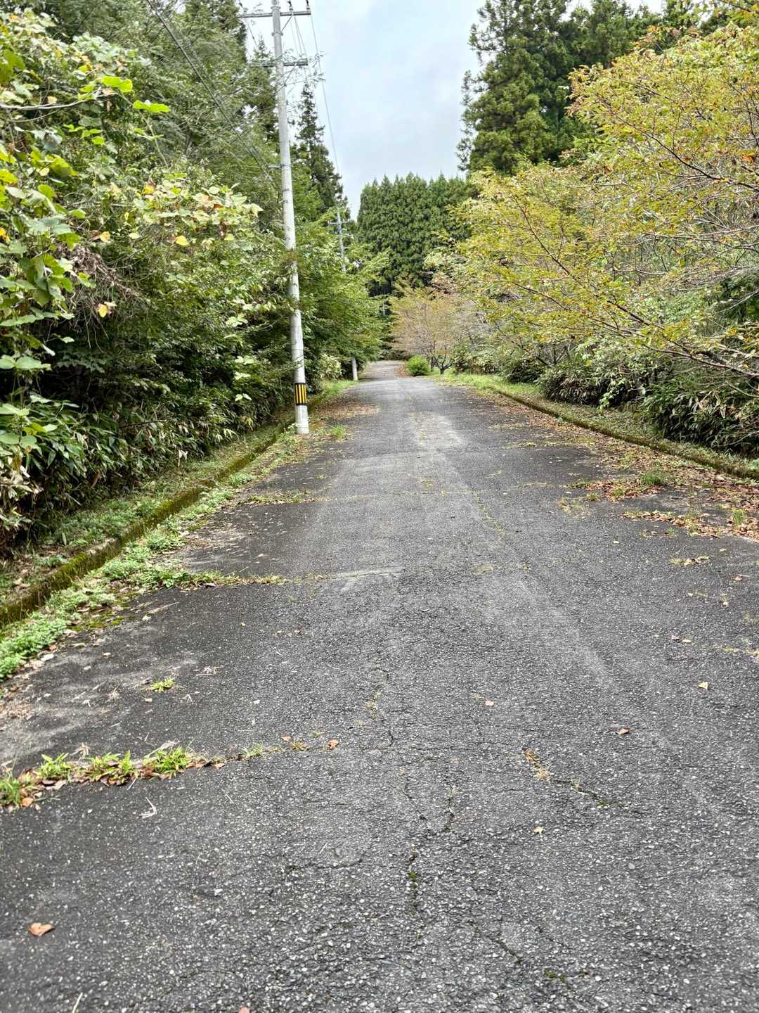 登山口まで舗装された道をてくてく🚶‍♀️