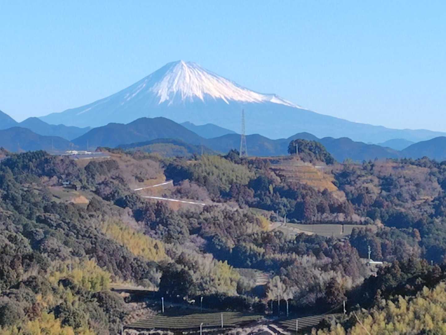 いいです＼(^o^)／