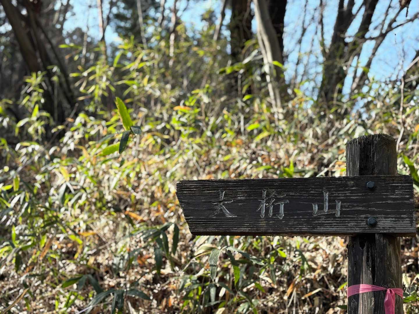 鍬柄岳登山口-鍬柄岳-大桁山-大桁山登山口-川後石峠 周回コースの写真