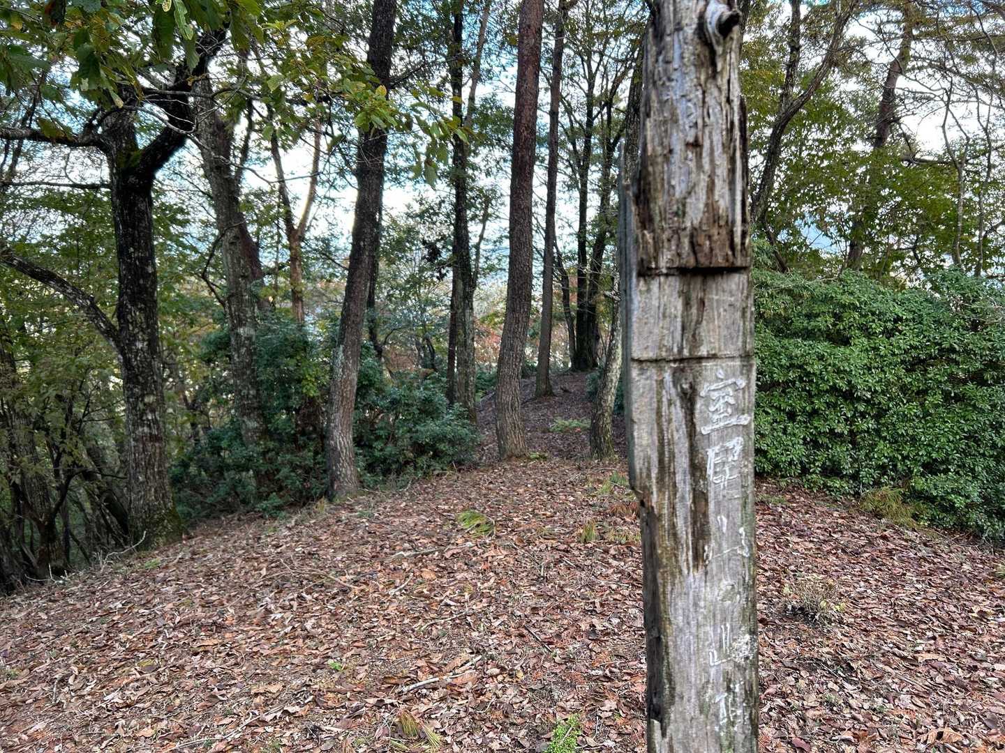 室尾山の文字、年季が入っています