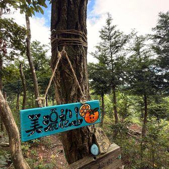 美濃松山 到着🏔️
おわかりいただけるであろうか？
キャー
プレート上手すぎるだろっ！