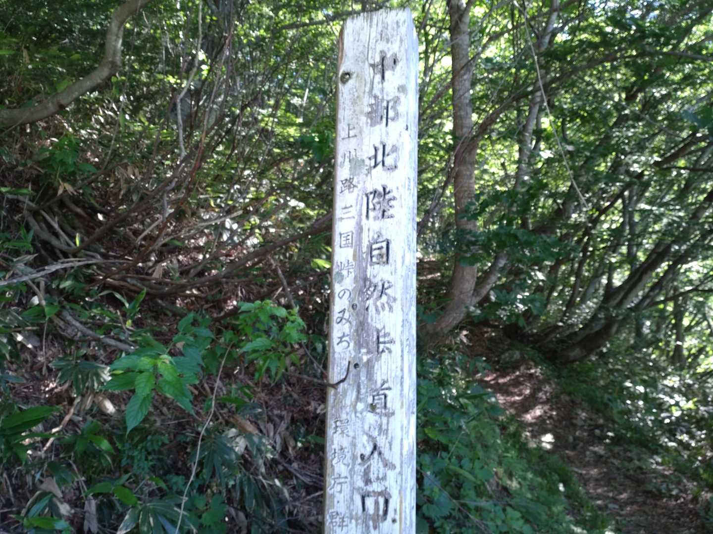 昔の人はこの峠を抜けて越後に降りたのですかね考え深いです🤔
