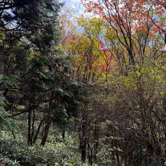 ロープが終わってるんるん🎶🍁