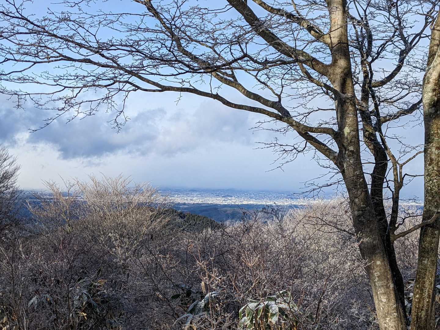 一盃山 往復コースの写真