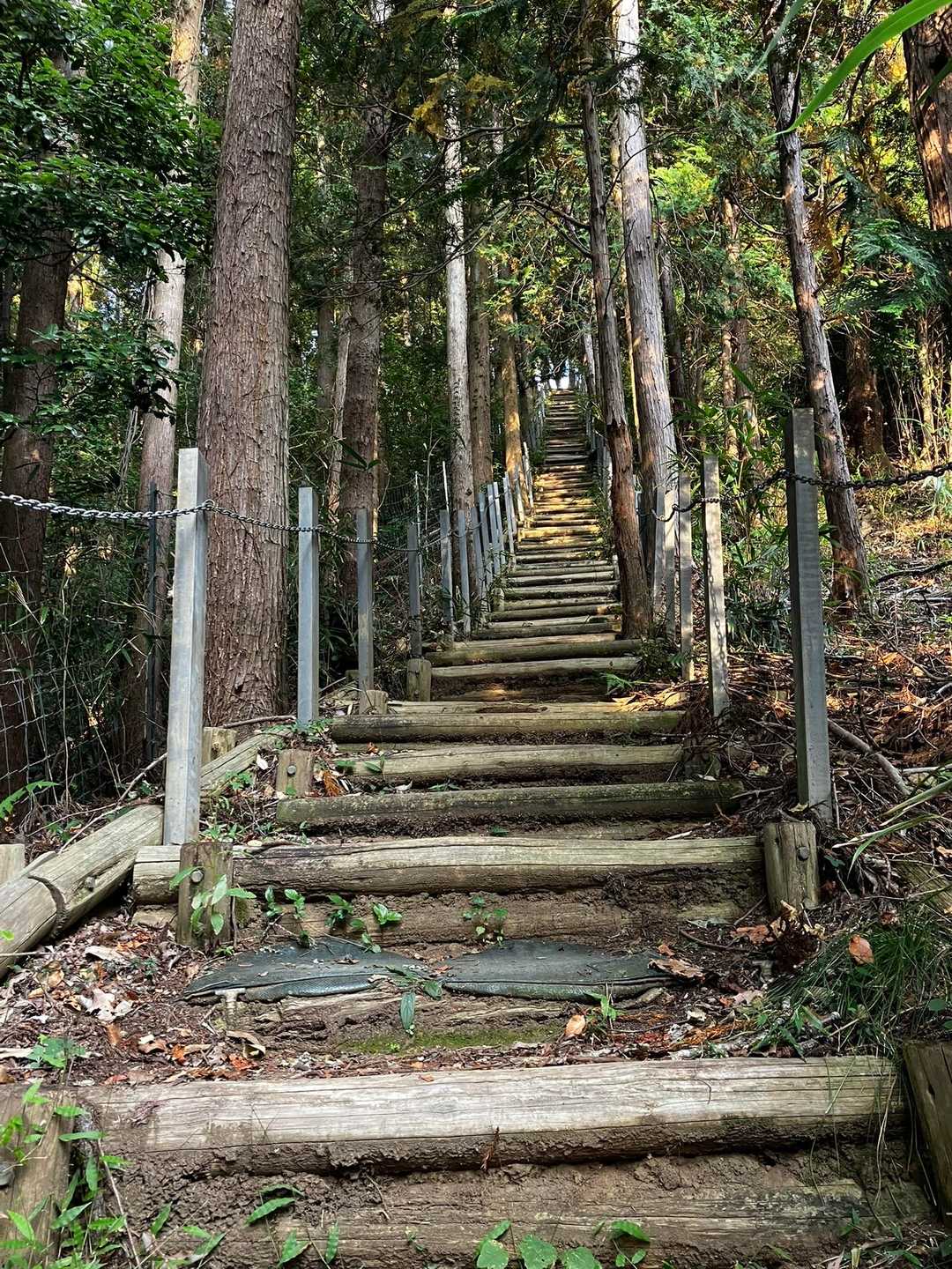 階段キツイ