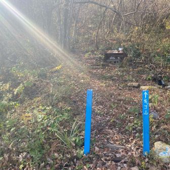 ビタルからキゴ山に行ってきます。