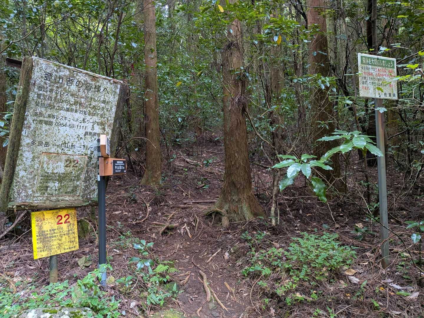 舗装道終点。ここからが本番
