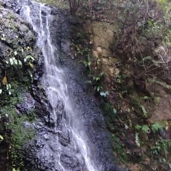 二段滝を見ながら岩場をゆっくり下山します〜🧗