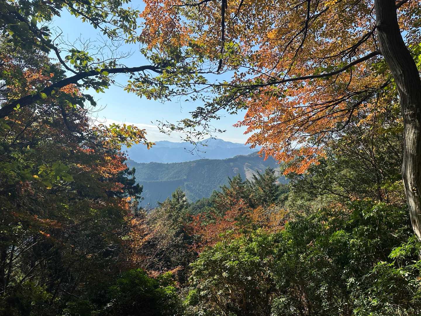 高水三山縦走コースの写真