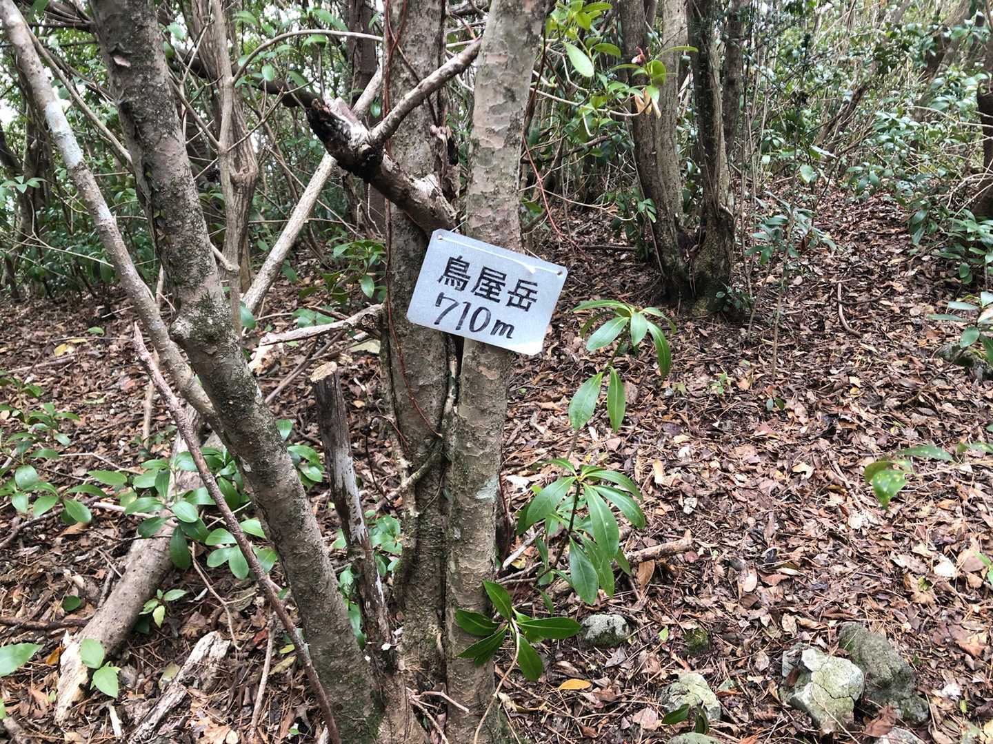 とやんたけ　展望なし