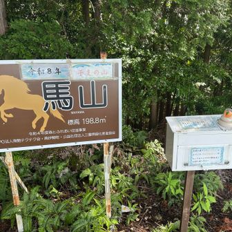 今年は午年なので干支登山になりました