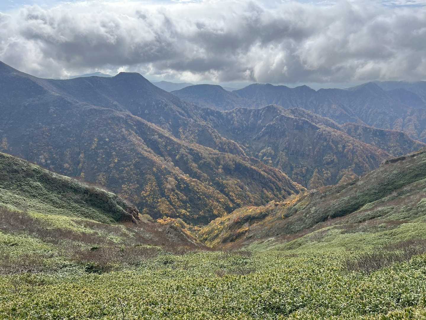 山深いなぁ、、