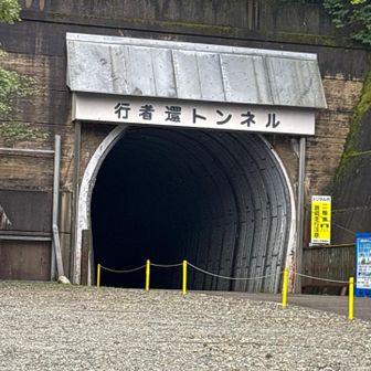 出発地点の弥山登山口駐車場。
ガイドツアーに参加したので、公共交通機関では、ここまでアクセスが難しいが、ツアーで、駅からここまで運んでいただきました😄