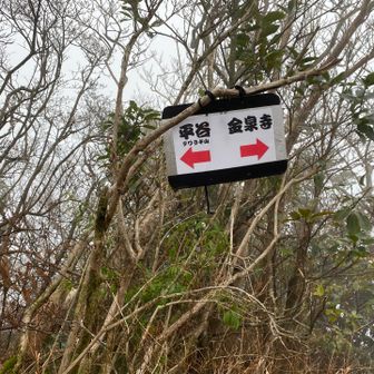 山頂から下山すぐの分岐