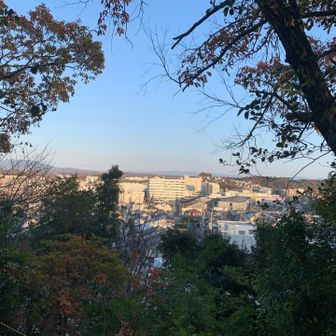 山頂からの景色
