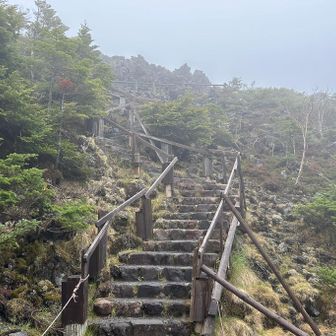 ここから観光客に人気の、坪庭へ✨